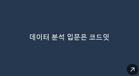 코드잇(데이터분석,웹개발)